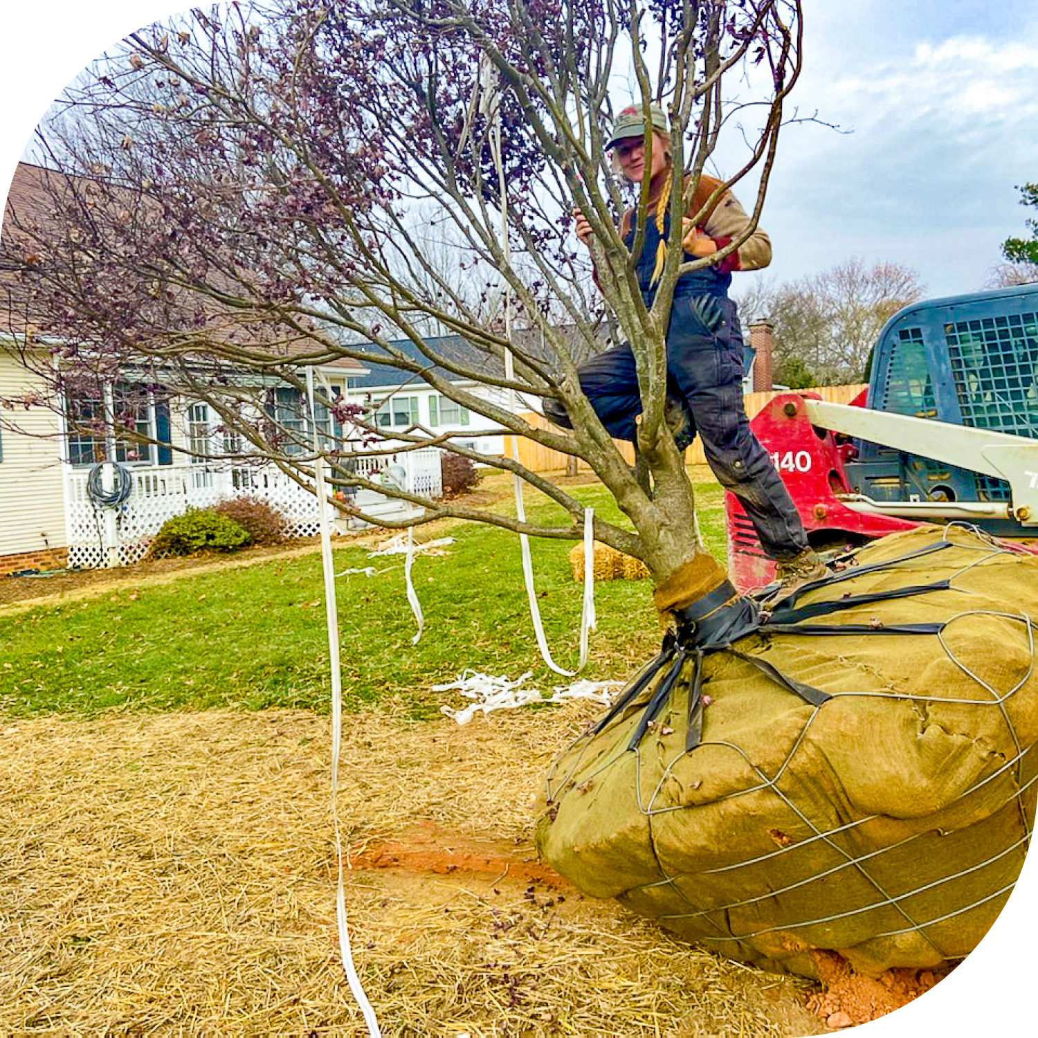 Services | Transform Your Landscape — Juneberry Gardens